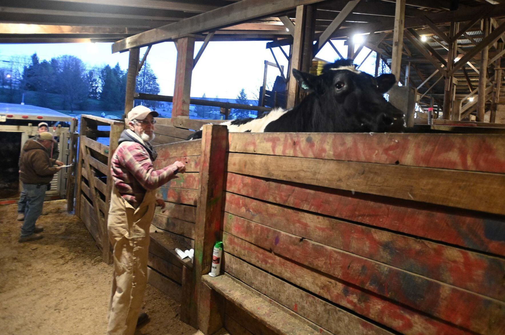Carlisle Livestock Auction 4.JPG